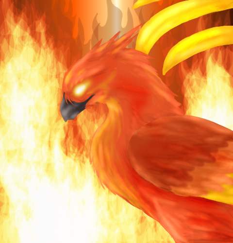 phoenix fire bird art exhibition gallery fnix madr galria fire bird 480x500