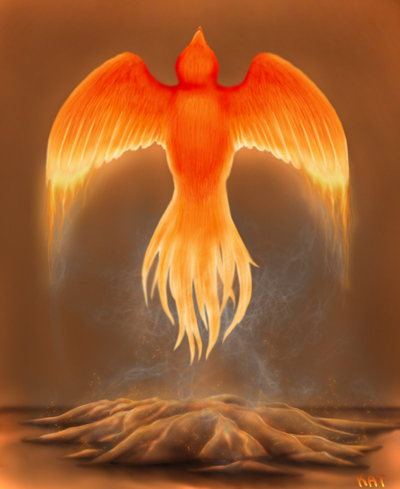 Phoenix Fire Bird Art Exhibition Gallery F nix Mad r Gal ria phoenix