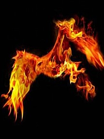 Phoenix