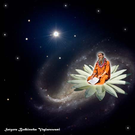 Satguru Bodhinatha Veylanswami