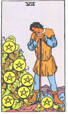 Tarot Pentacles 7