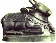 nandi