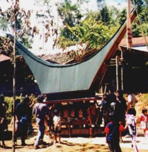 toraja duba-duba