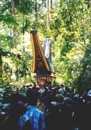 toraja duba-duba