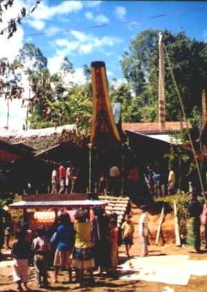 toraja funeral