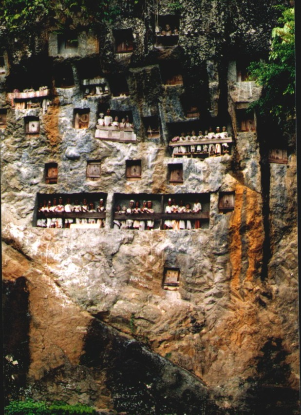 toraja liang