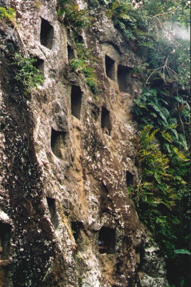 toraja liang