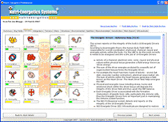 NES (Nutri Energetics Systems)