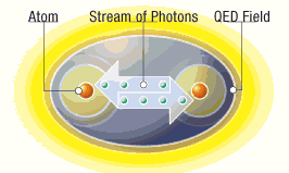 NES (Nutri Energetics Systems) QED Field