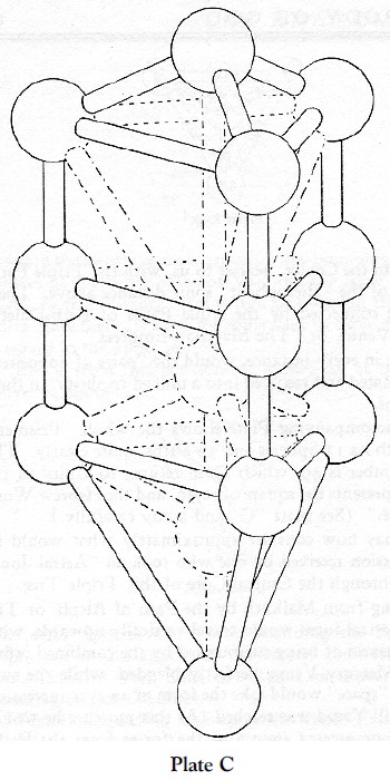 Plate C