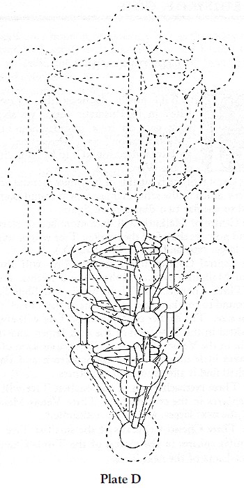 Plate D