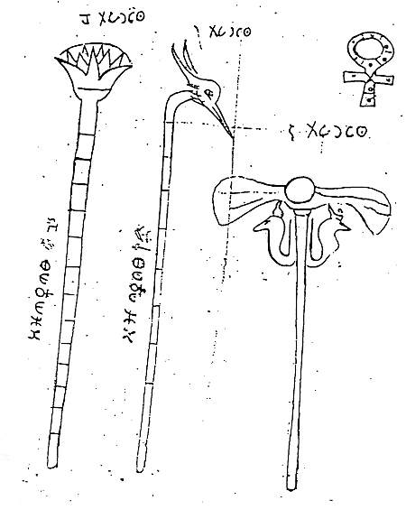 Cipher Manuscript Folio 49