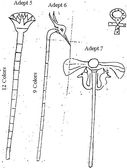 Folio 49