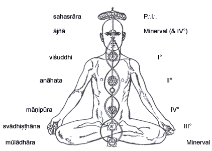 The Chakra System