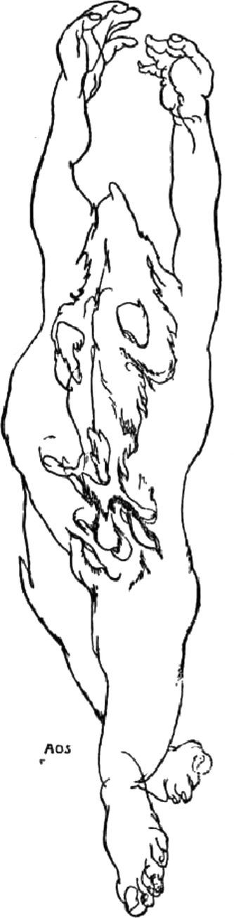 This is a drawing by Austin Osman Spare of an anthropomorphic figure with a leaping wolf inside. There is a distorted face beneath the wolf, at about the position of the hip or genitalia. This is a drawing by Austin Osman Spare of an anthropomorphic figure with a leaping wolf inside. There is a distorted face beneath the wolf, at about the position of the hip or genitalia.