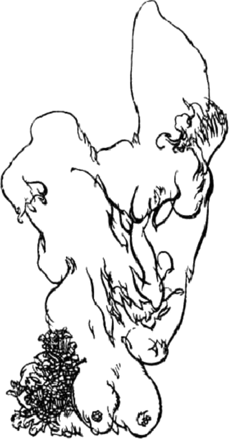 This is another by Austin Osman Spare, formed this time in an abstract of female primary and secondary sexual attributes in contrast to the male elements in the first. There is a large face suggested in the drawing, to the right and center illustration
