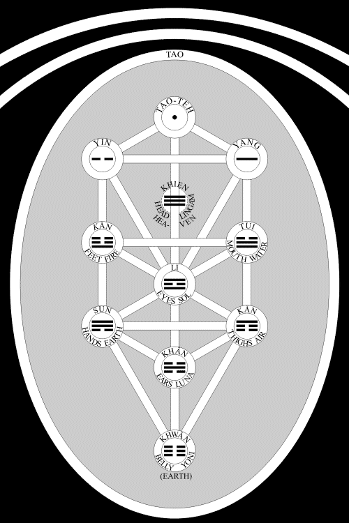 Chinese Cosmos