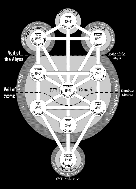 Constitution of Man