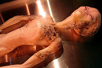 alien autopsy