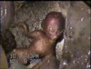 Alien Baby (04:27)