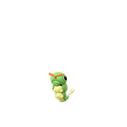 Caterpie