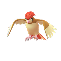 Pidgeotto