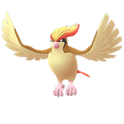 Pidgeot