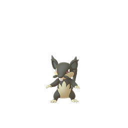 Rattata Alolan