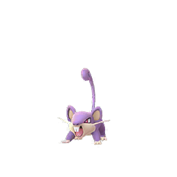 Rattata