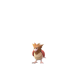 Spearow