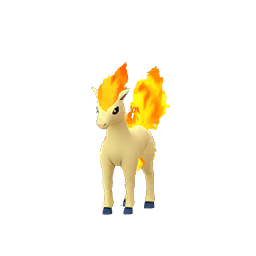 Ponyta