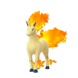 Rapidash