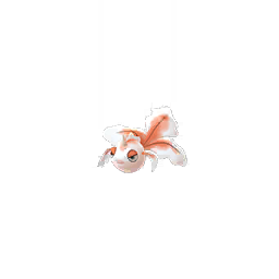 Goldeen