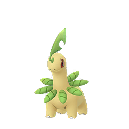 Bayleef