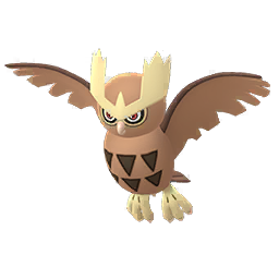 Noctowl