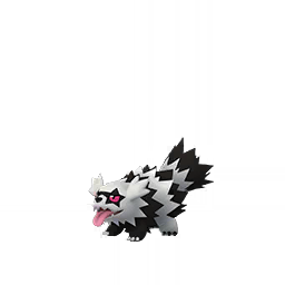 Galarian Zigzagoon