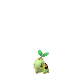 Turtwig