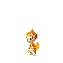 Chimchar