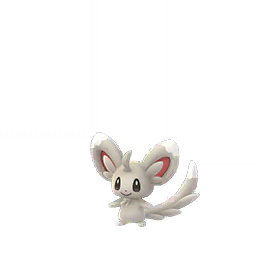 Minccino