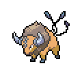 tauros