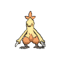 combusken-female