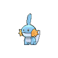 mudkip