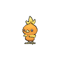 torchic