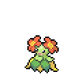 bellossom