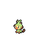 grookey