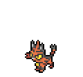 torracat