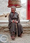 Ladakhi Woman