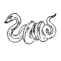 Naga