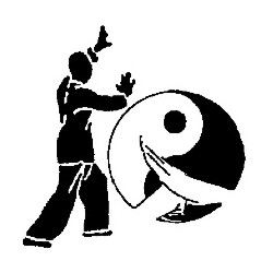 Tai chi chuan