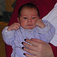 Dominik 2003